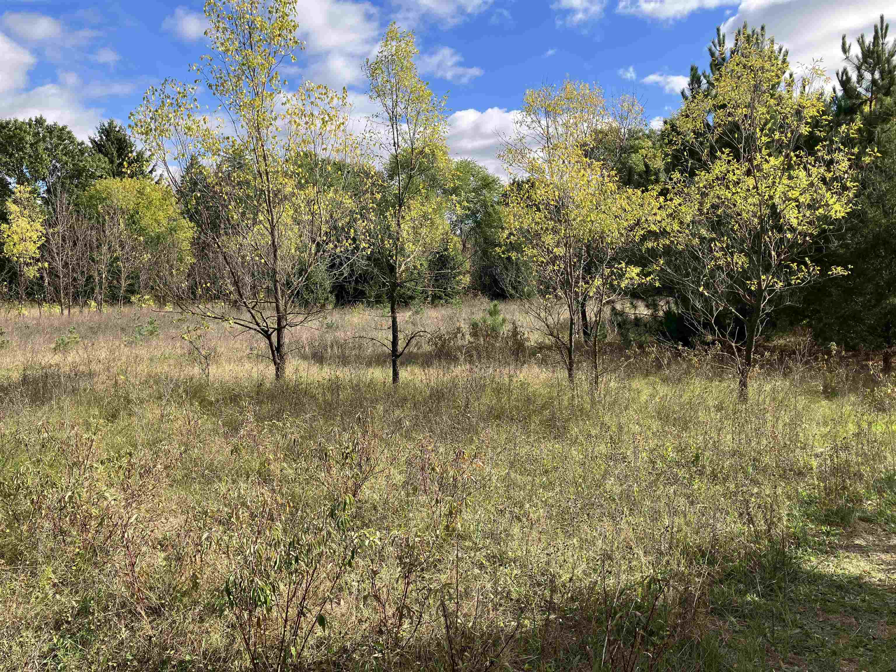 North Beach Street Plainfield, WI 54966 - Photo 6 of 8