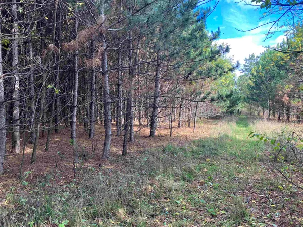 $114,900 | North Beach Street, Plainfield, WI 54966