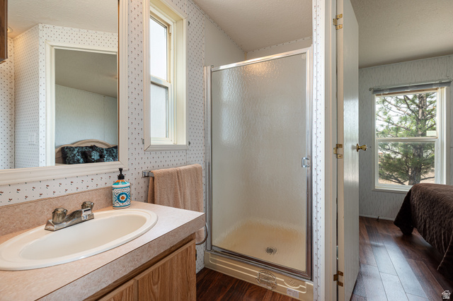 740 Riddle Drive Fredonia, AZ 86022 - Photo 11 of 20 Bathroom featuring a single vanity with an integrated sink, a large wall-mounted mirror, a standing shower enclosure with a frosted glass door, and wood-finish flooring