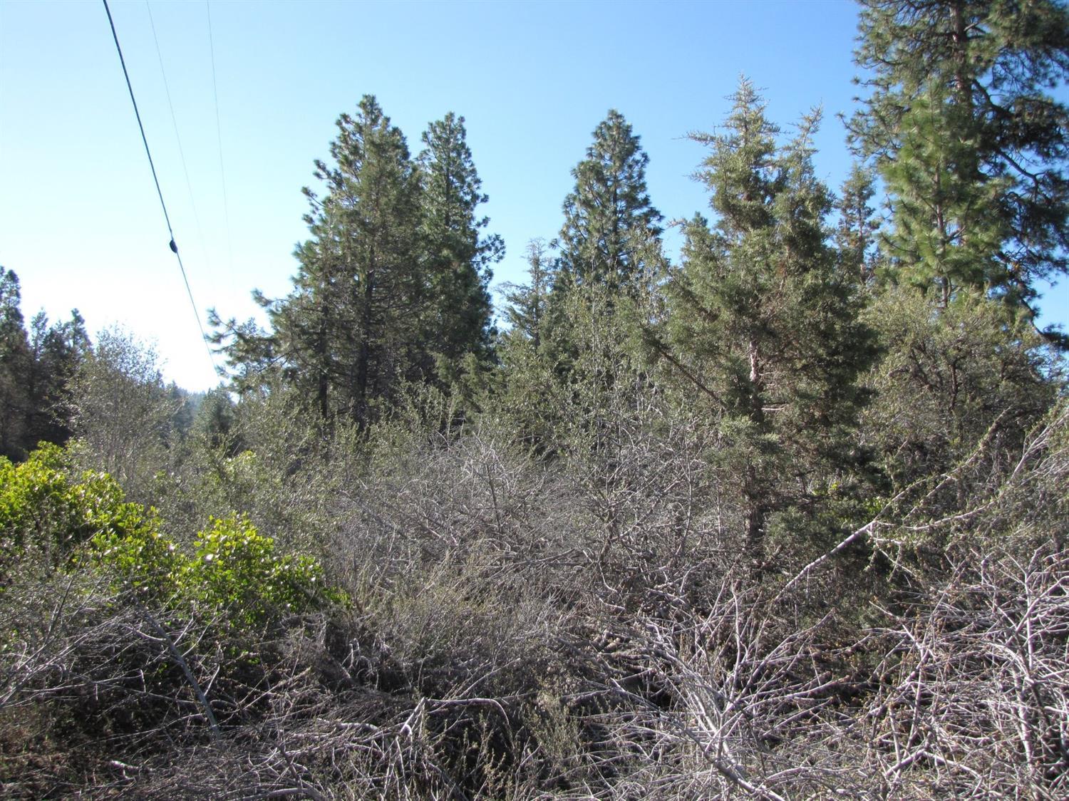 0 Hummingbird Drive Bonanza, OR 97623 - Photo 4 of 13 Additional Photo