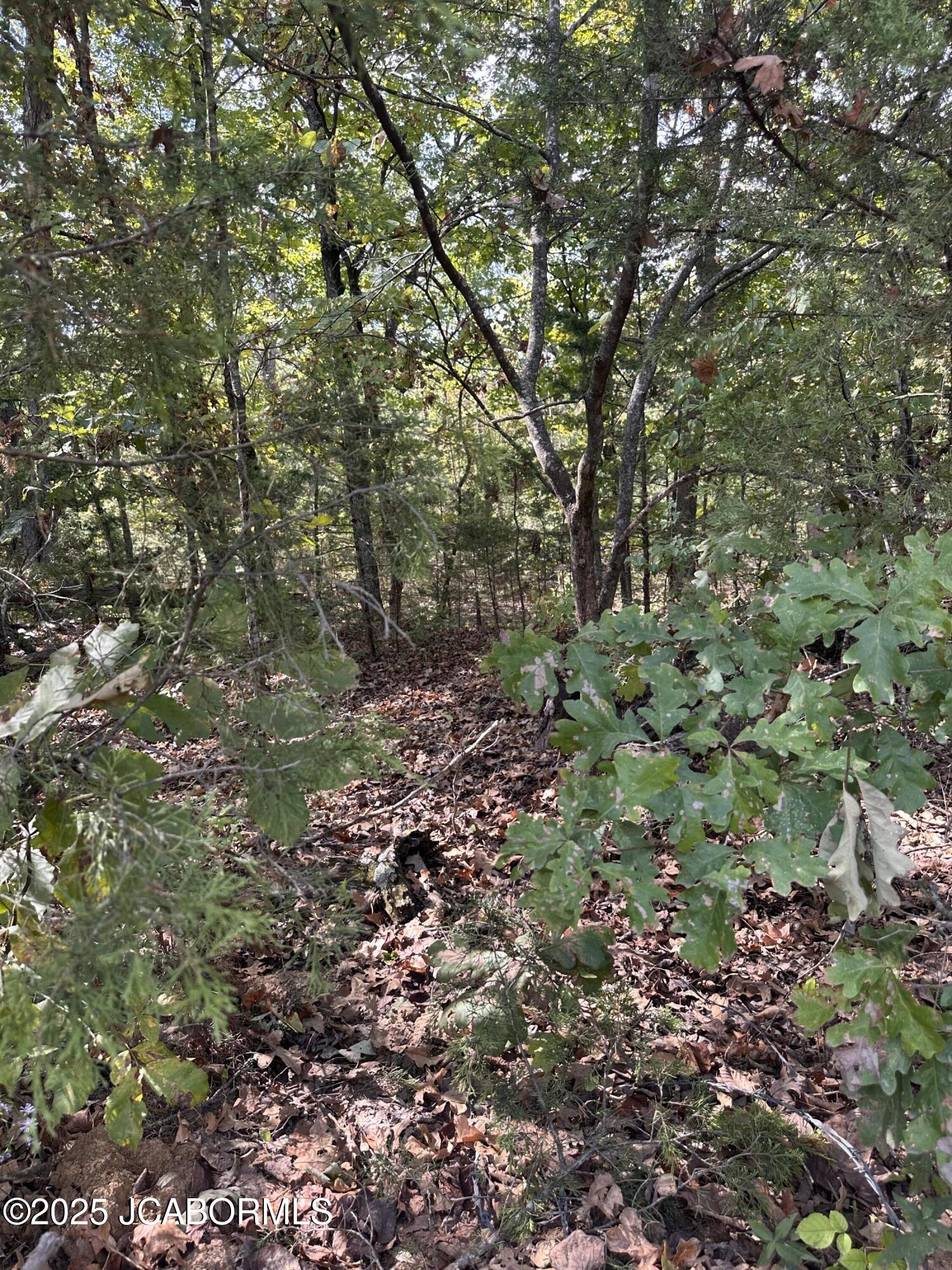 Lot 37 Sterling Ridge Holts Summit, MO 65043 - Photo 2 of 2