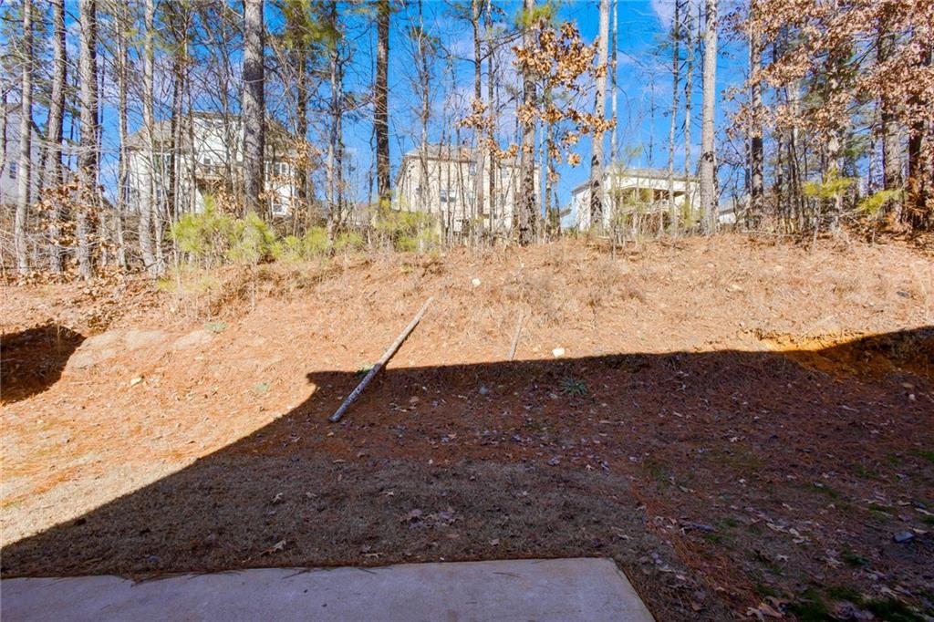 34 Persian Ivy Way Dallas, GA 30132 - Photo 31 of 38