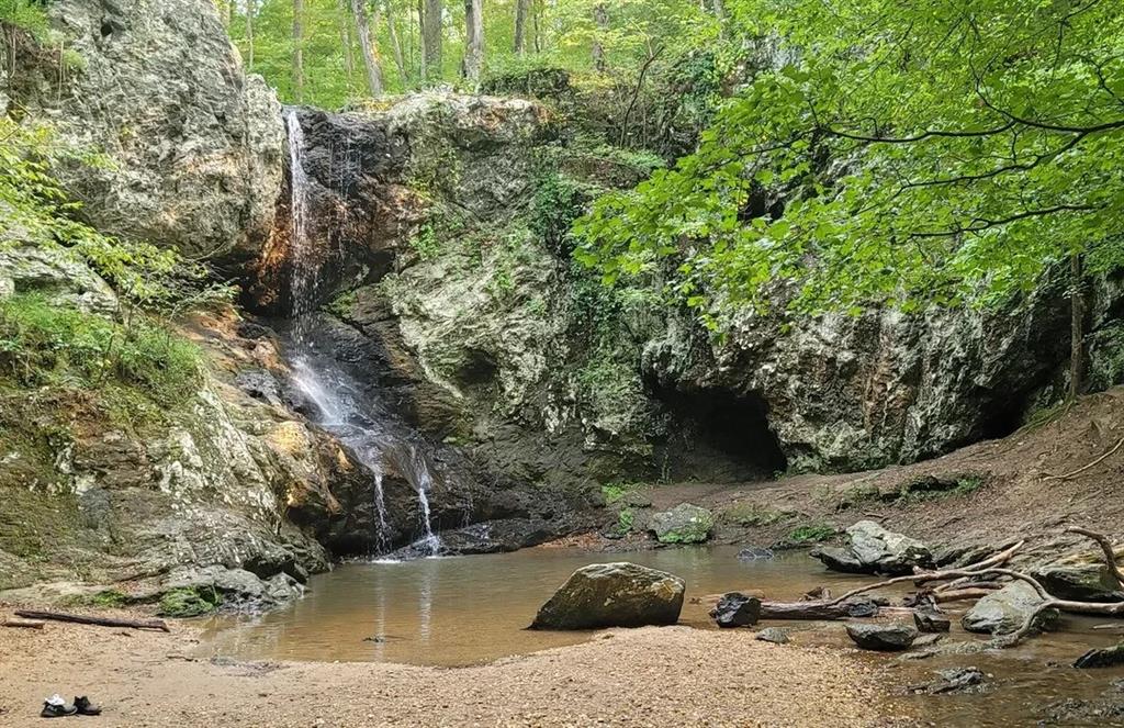 34 Persian Ivy Way Dallas, GA 30132 - Photo 38 of 38