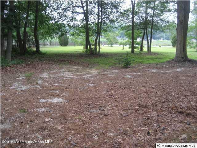 653 Bancroft Road Brick, NJ 08724 - Photo 5 of 11 a view of a forest with trees