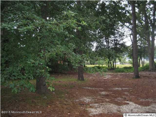 653 Bancroft Road Brick, NJ 08724 - Photo 6 of 11 a view of a forest with trees in the background