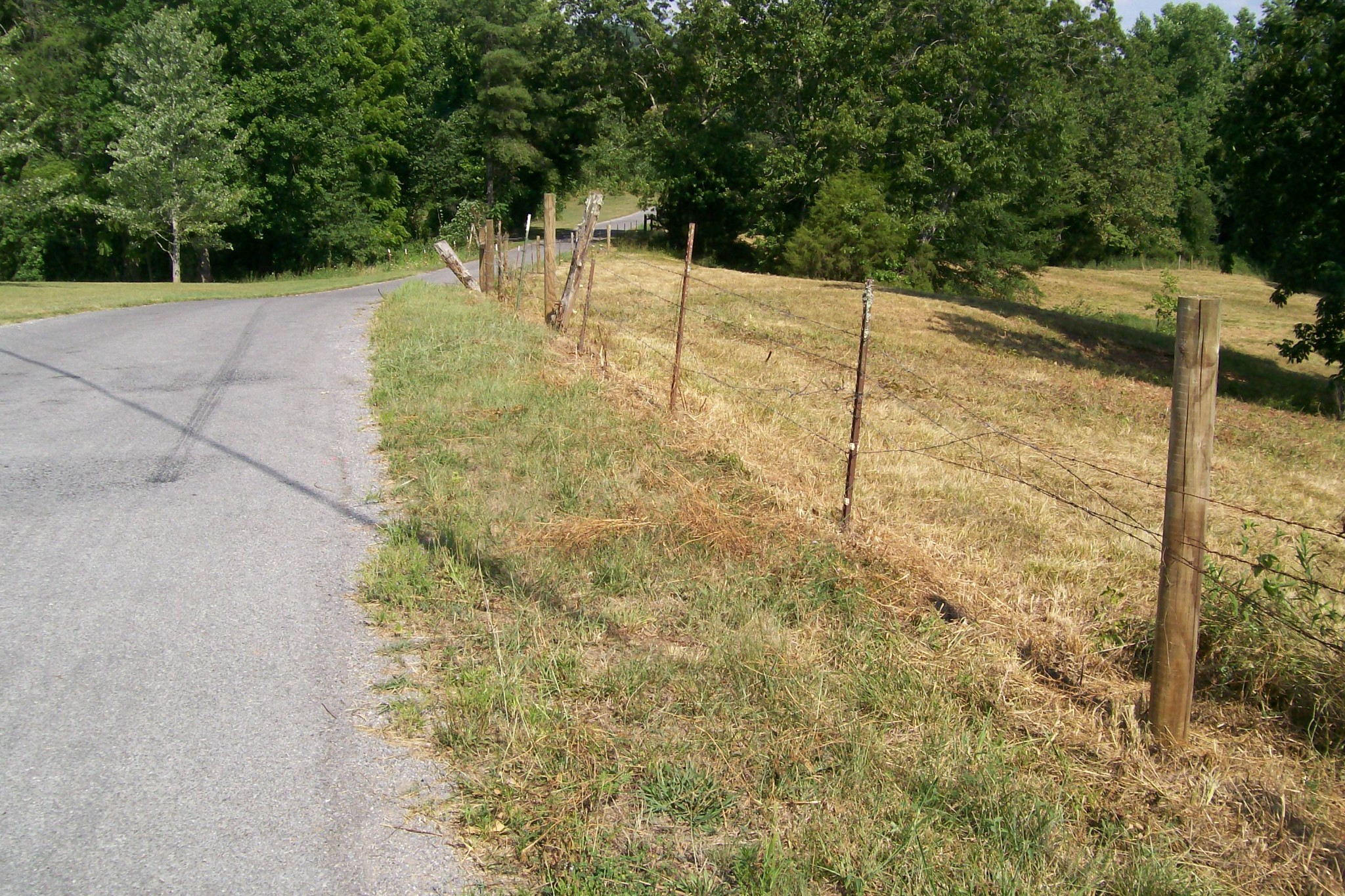 0 Sparkman Town Road Rock Island, TN 38581 - Photo 3 of 13 a view of a backyard