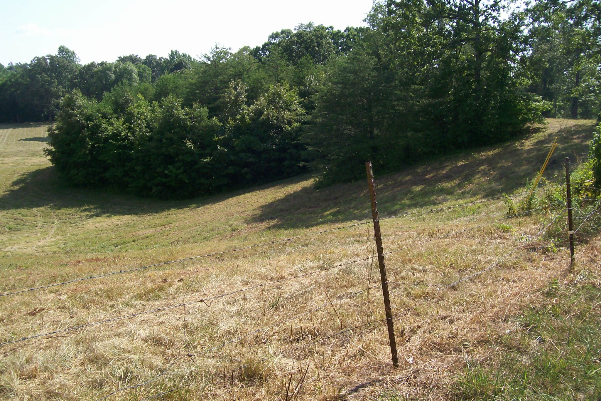 0 Sparkman Town Road Rock Island, TN 38581 - Photo 6 of 13 a backyard of a house with lots of green space