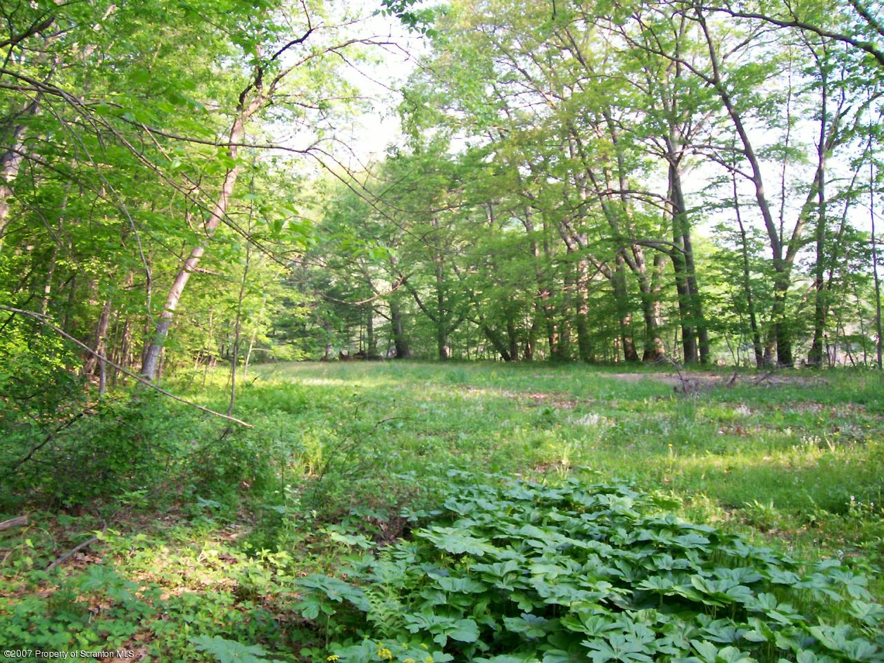 Kane Road Trafford, PA 15085 - Photo 2 of 7 Flat Land For Camping/Fishing