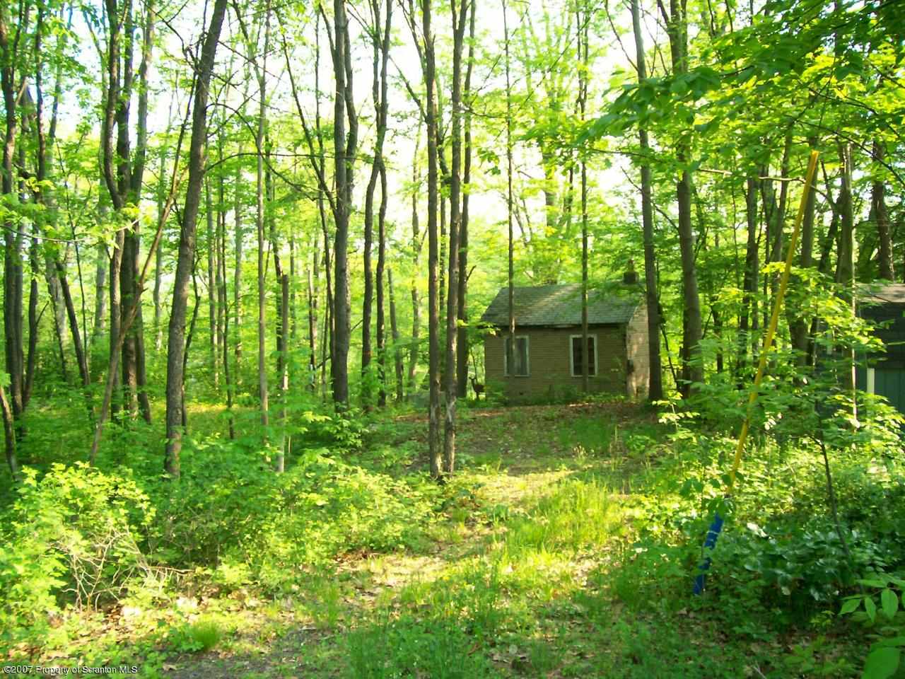 Kane Road Trafford, PA 15085 - Photo 3 of 7 Small Bungalo/Cabin See deer?