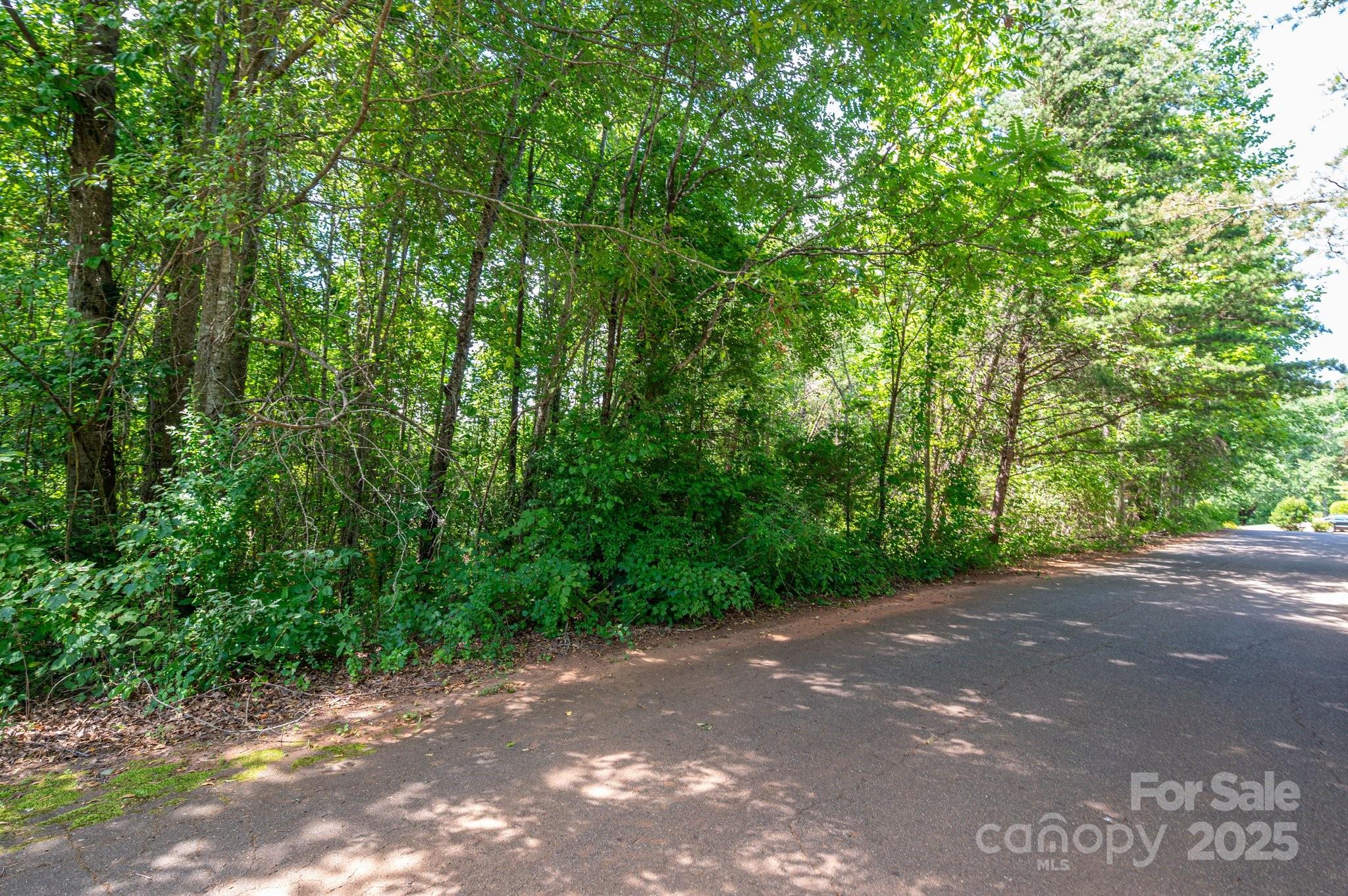 Lot #24 Deacons Rdg Drive Rutherfordton, NC 28139 - Photo 12 of 15