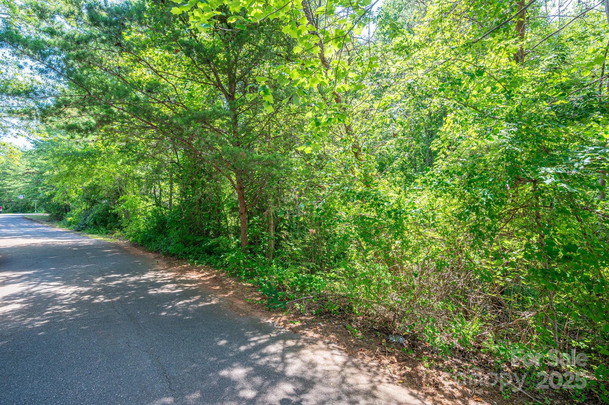 Lot #24 Deacons Rdg Drive Rutherfordton, NC 28139 - Photo 13 of 15