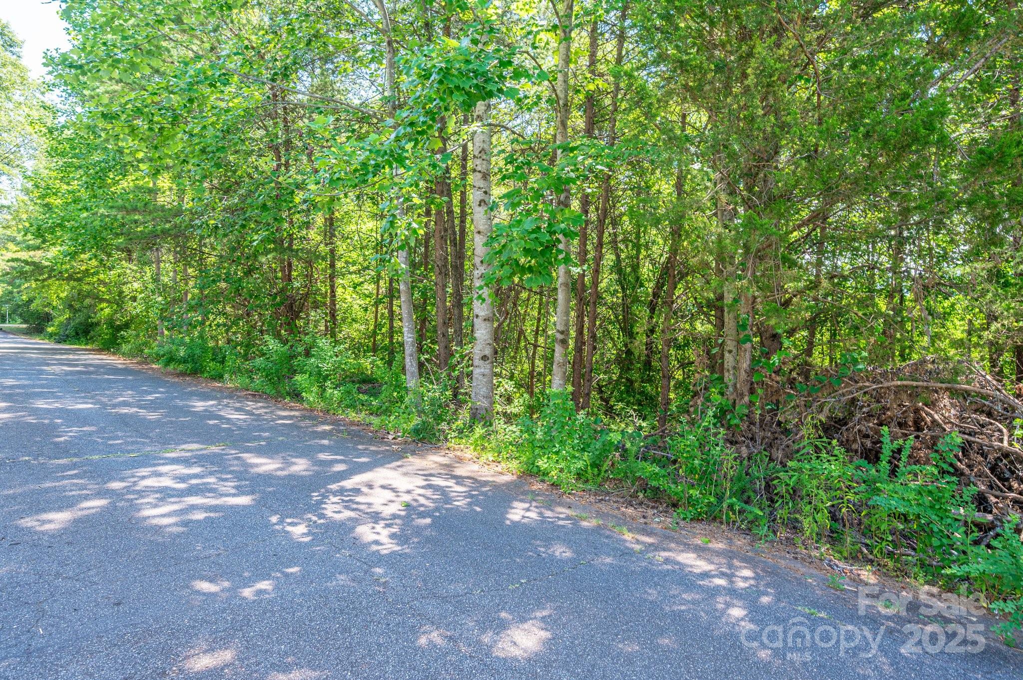 Lot #24 Deacons Rdg Drive Rutherfordton, NC 28139 - Photo 14 of 15