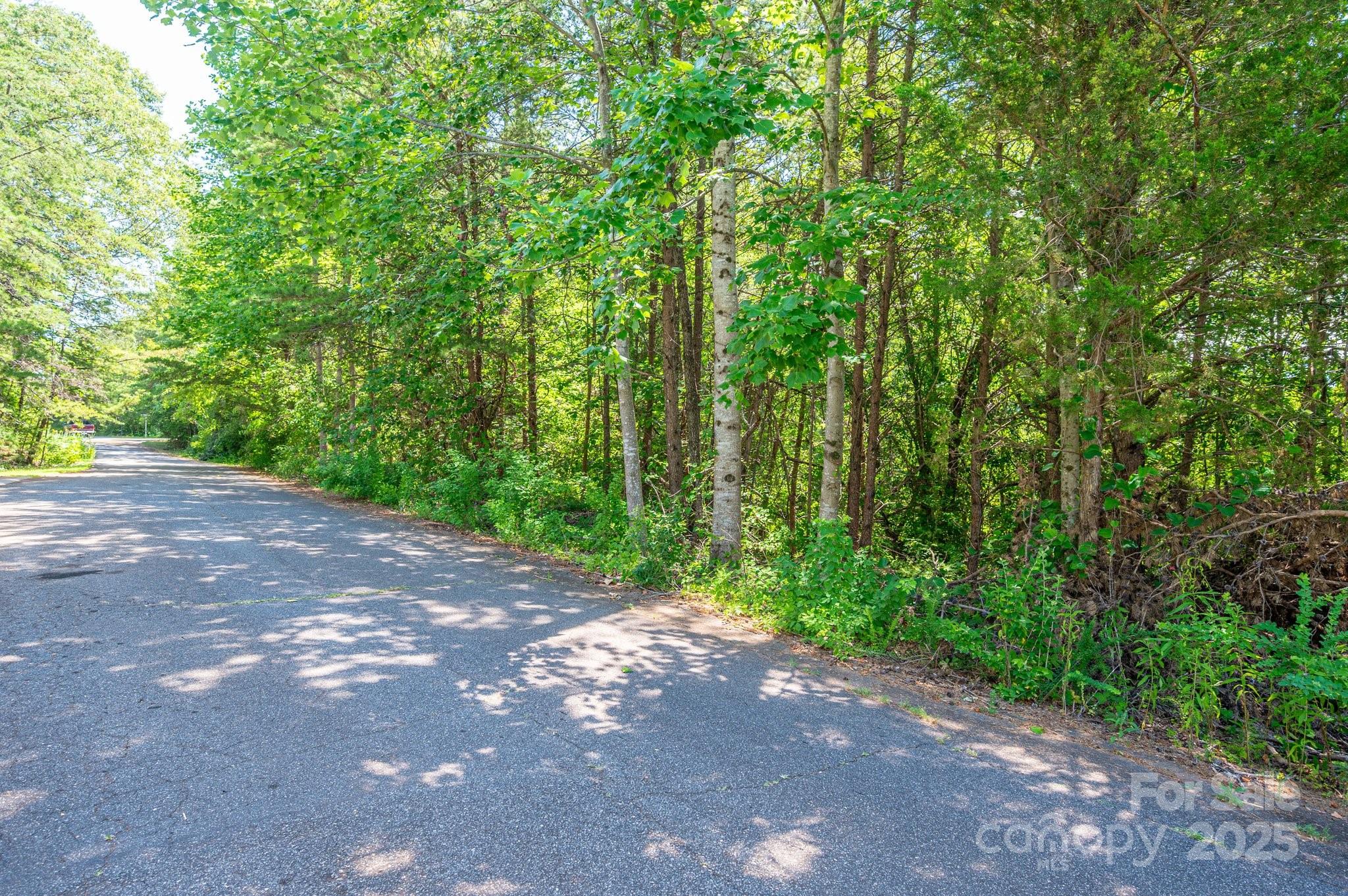 Lot #24 Deacons Rdg Drive Rutherfordton, NC 28139 - Photo 15 of 15