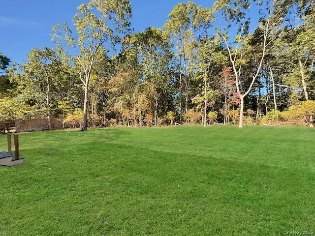 a garden view with trees