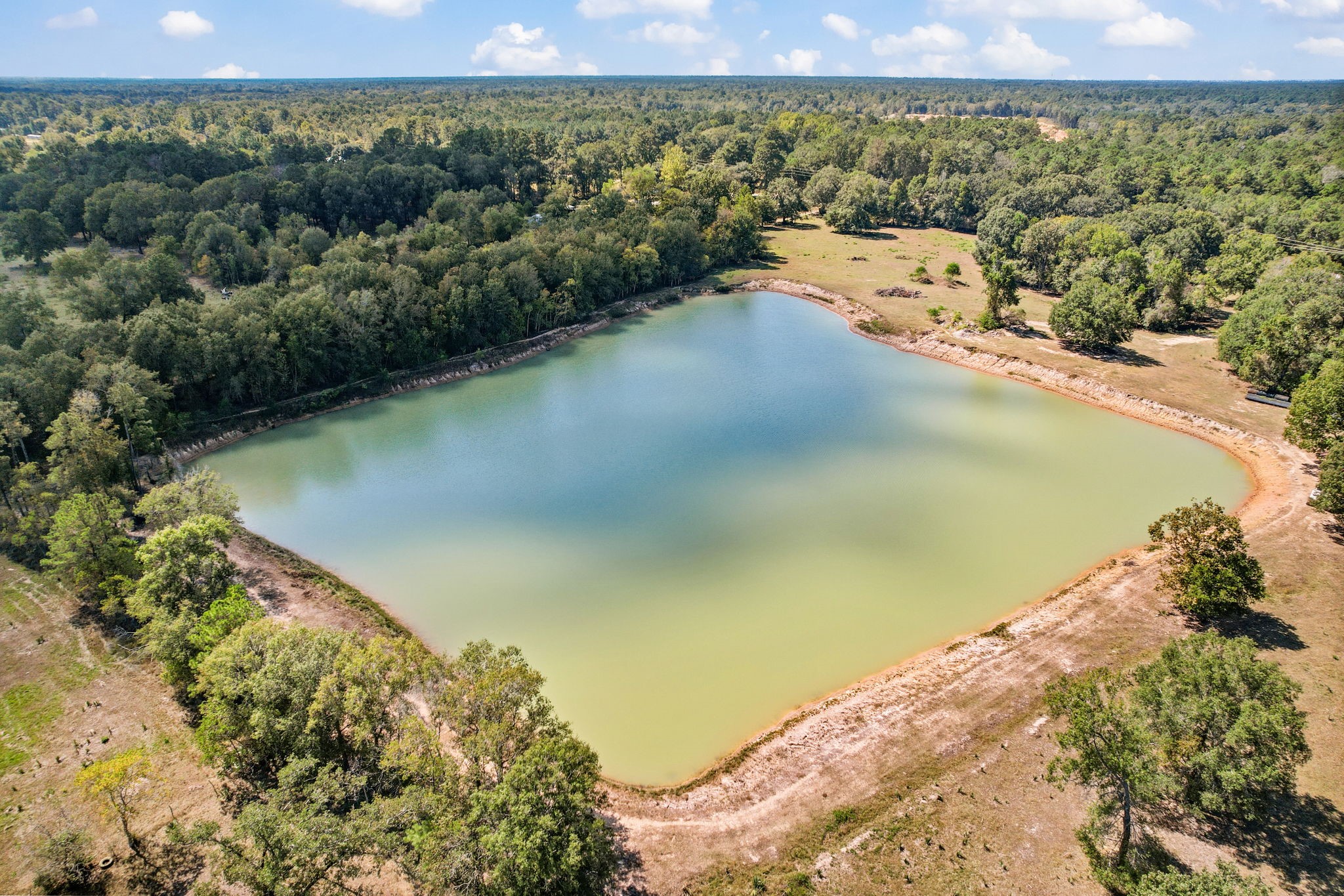 8539 Plum Grove Road Cleveland, TX 77327 - Photo 10 of 12