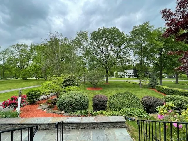 a view of a garden with wooden fence