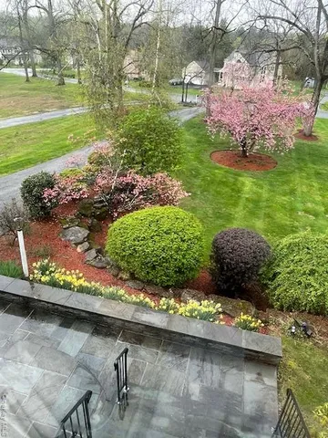 a view of a garden with a lake