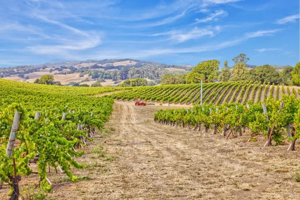 $2,499,000 | 1450 Stage Gulch Road, Petaluma, CA 94954
