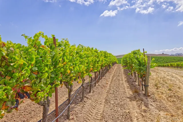 $2,499,000 | 1450 Stage Gulch Road, Petaluma, CA 94954