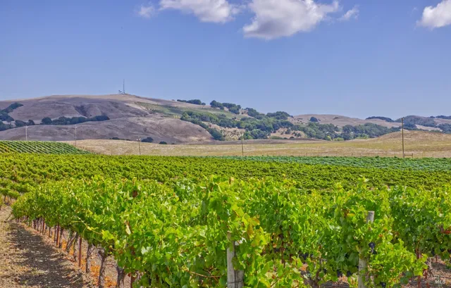 $2,499,000 | 1450 Stage Gulch Road, Petaluma, CA 94954