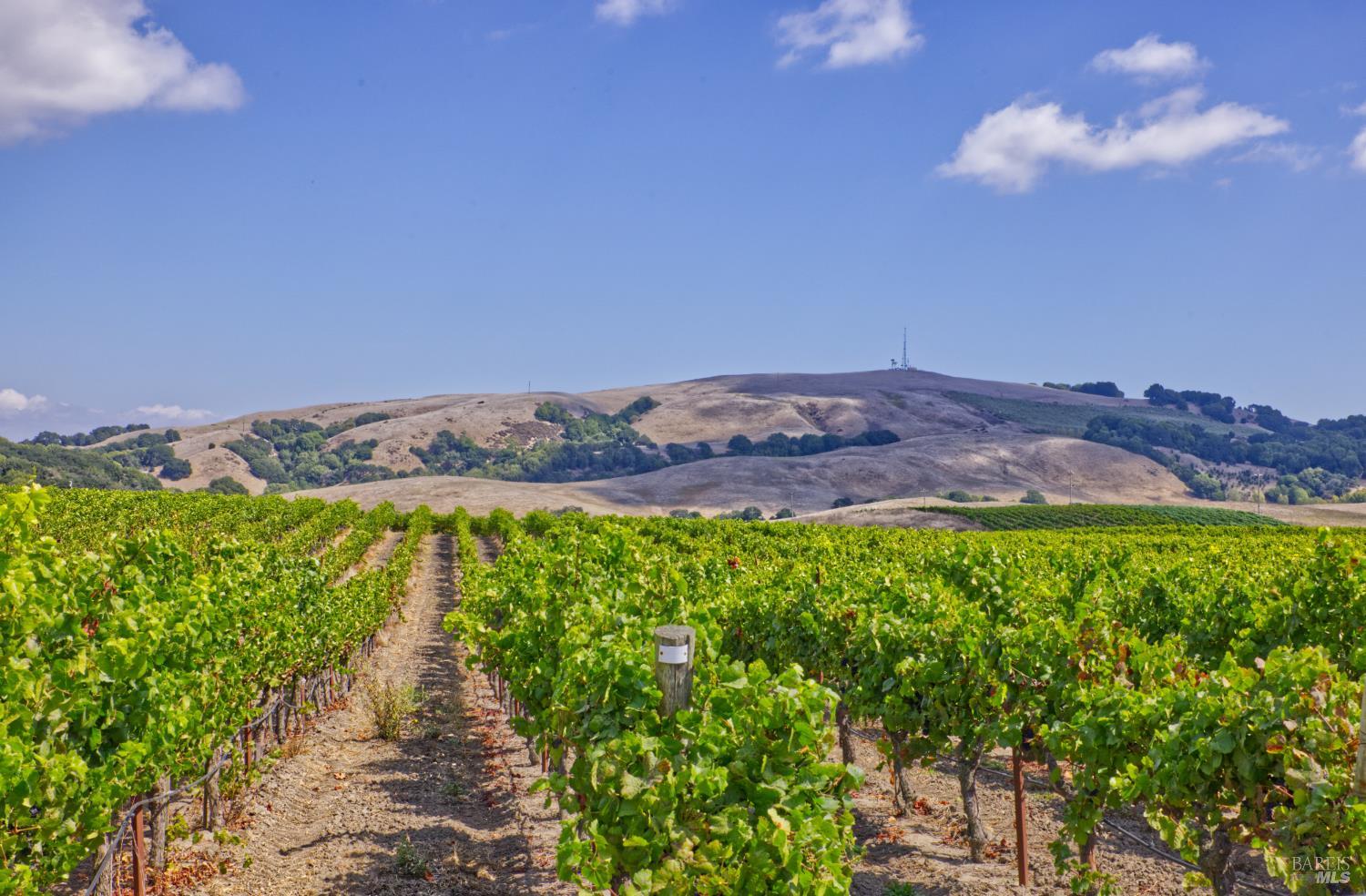 1450 Stage Gulch Road Petaluma, CA 94954 - Photo 13 of 32