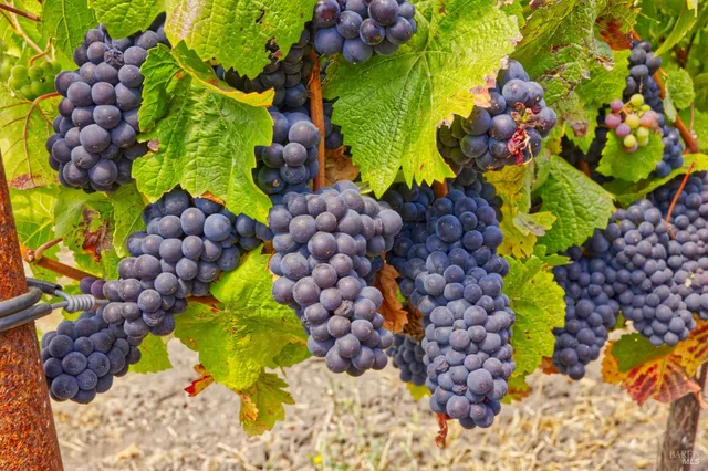 $2,499,000 | 1450 Stage Gulch Road, Petaluma, CA 94954