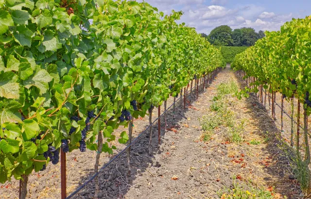 $2,499,000 | 1450 Stage Gulch Road, Petaluma, CA 94954