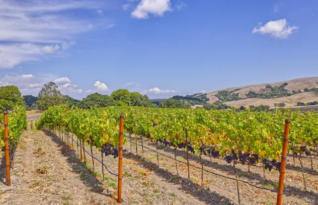 $2,499,000 | 1450 Stage Gulch Road, Petaluma, CA 94954