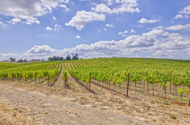 $2,499,000 | 1450 Stage Gulch Road, Petaluma, CA 94954