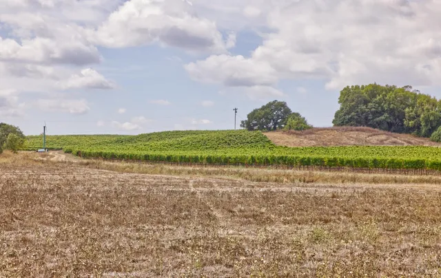 $2,499,000 | 1450 Stage Gulch Road, Petaluma, CA 94954