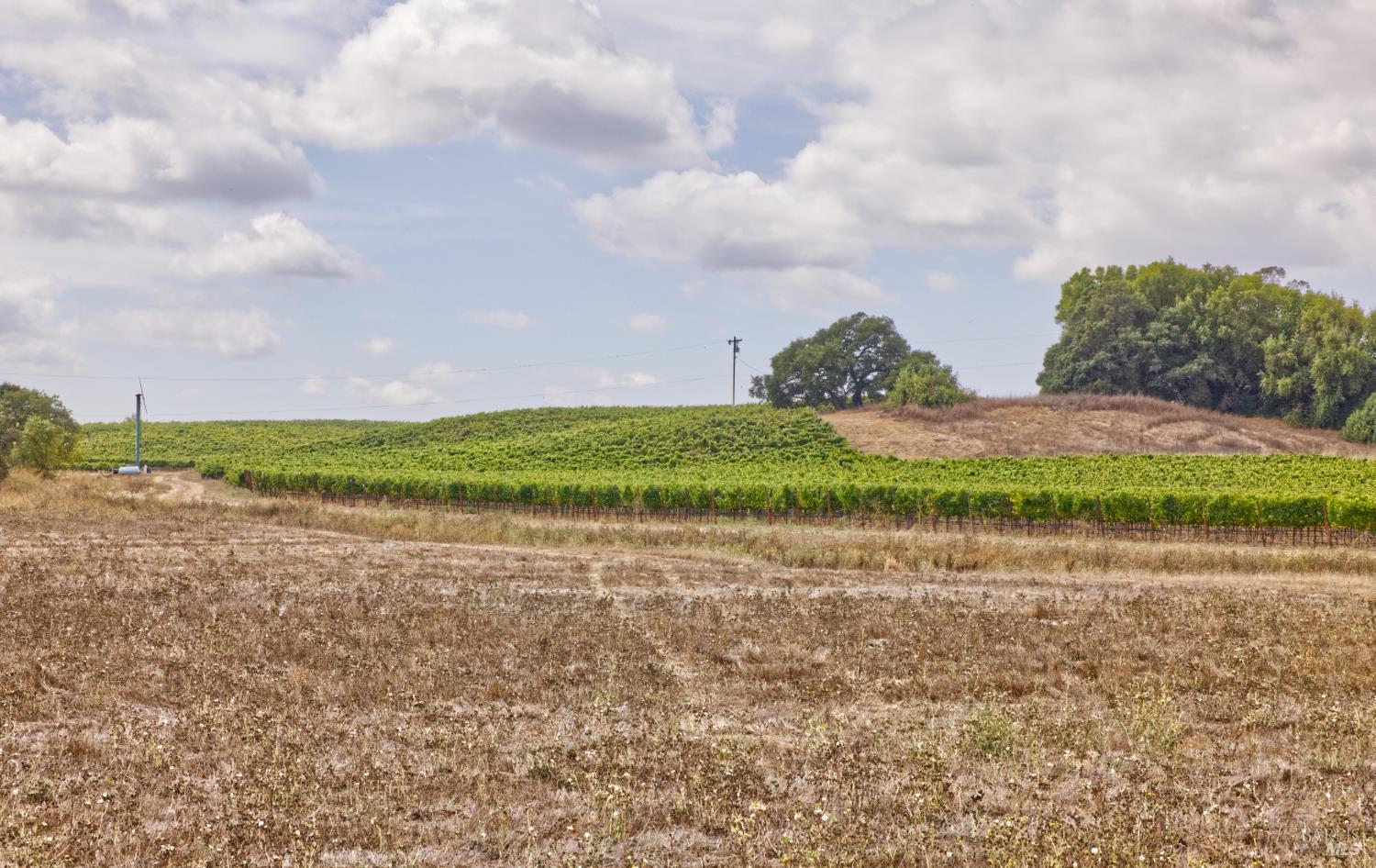 1450 Stage Gulch Road Petaluma, CA 94954 - Photo 21 of 32