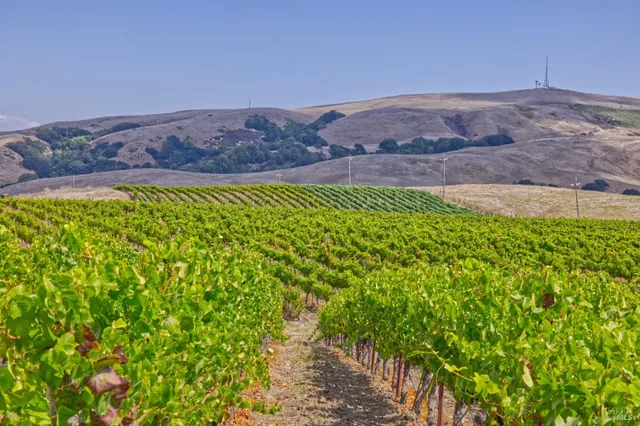 $2,499,000 | 1450 Stage Gulch Road, Petaluma, CA 94954