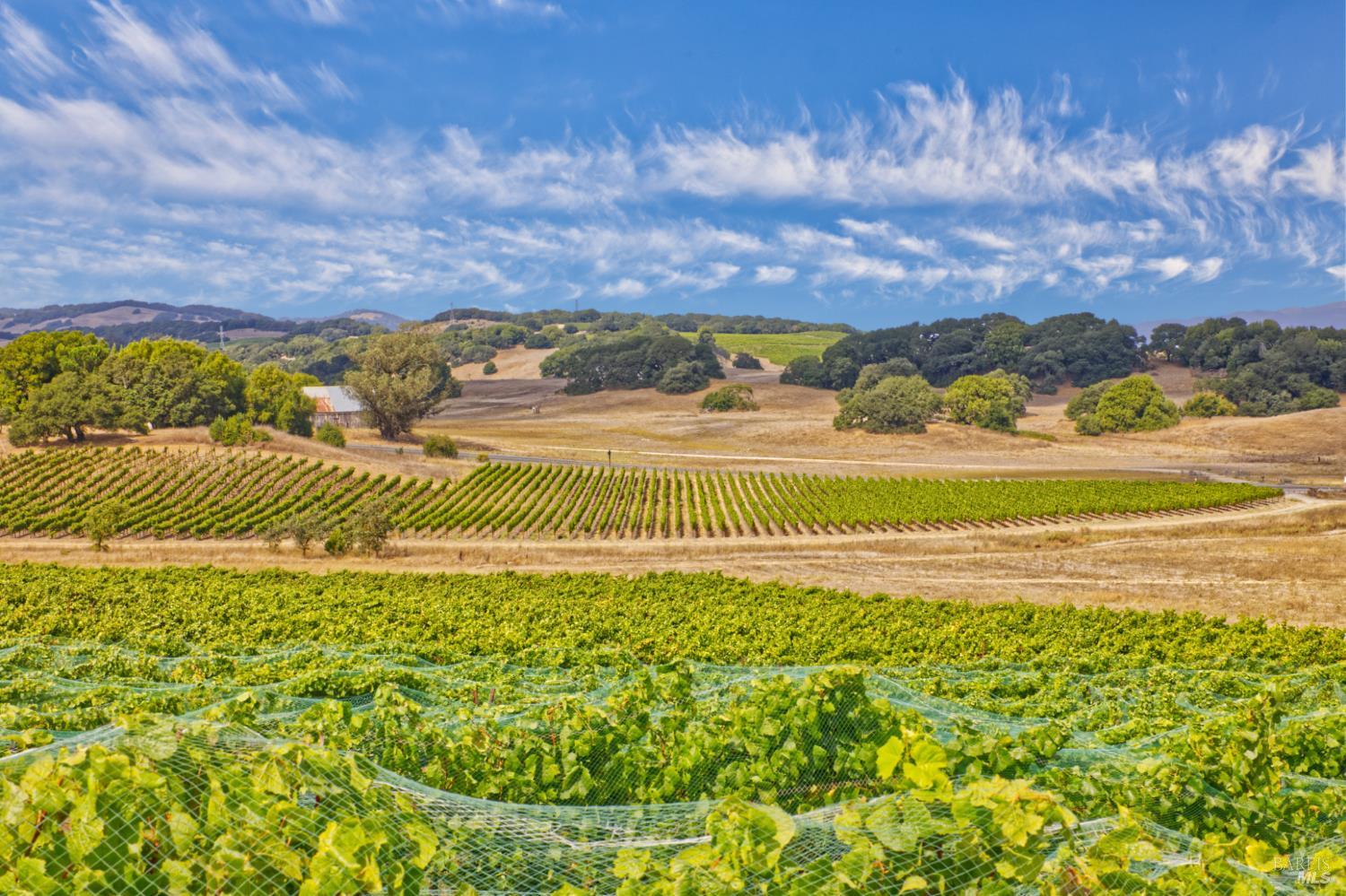 1450 Stage Gulch Road Petaluma, CA 94954 - Photo 4 of 32