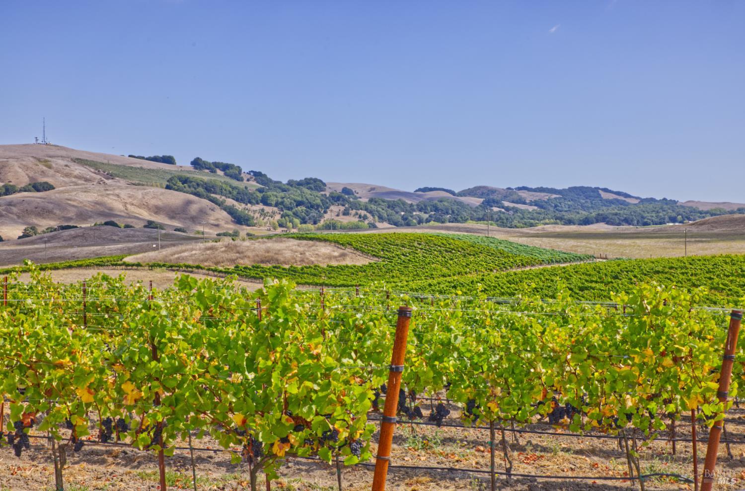 1450 Stage Gulch Road Petaluma, CA 94954 - Photo 10 of 32