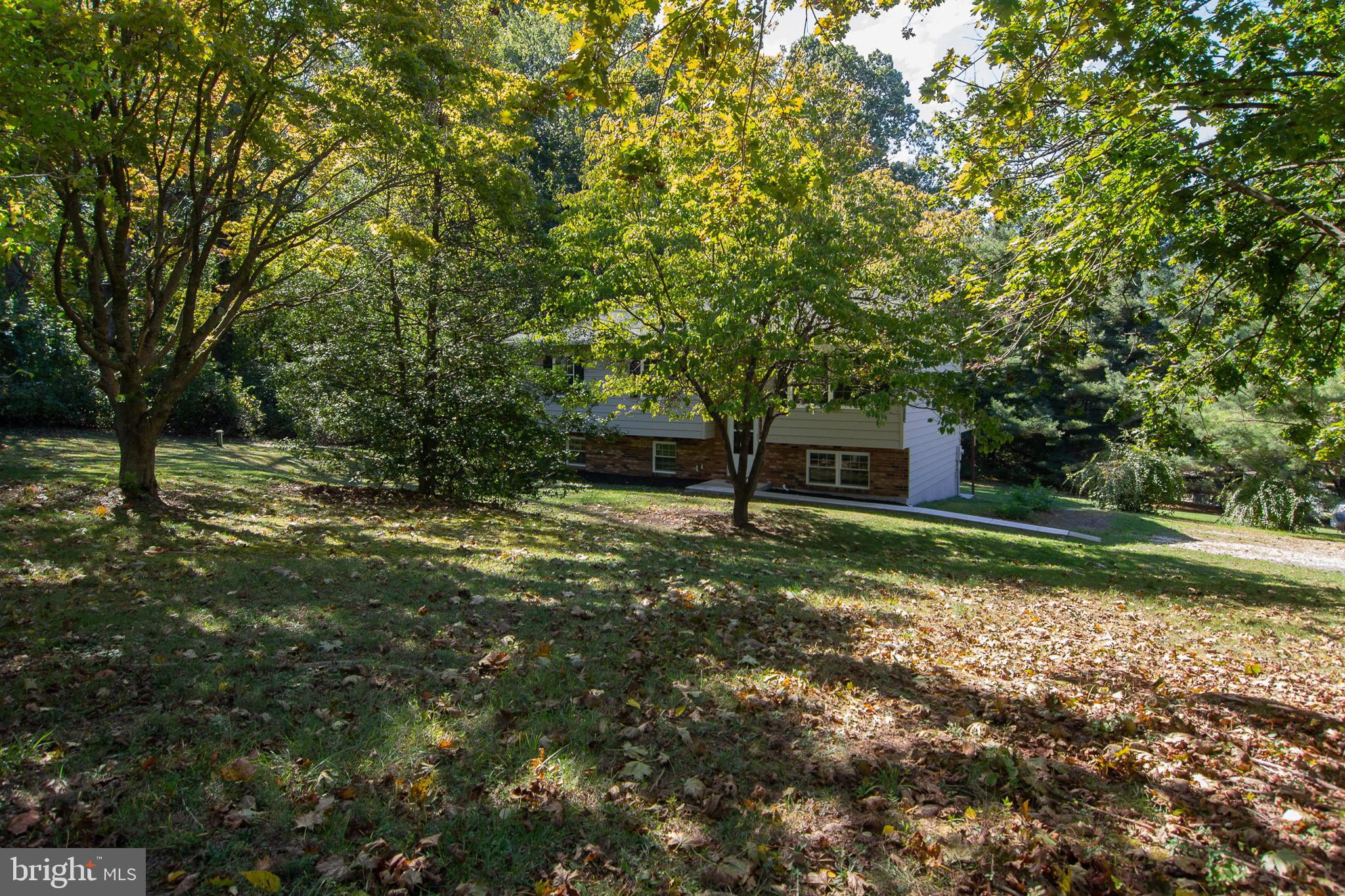 1526 Manchester Road Westminster, MD 21157 - Photo 33 of 41 a view of a tree in a yard