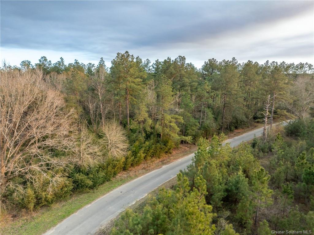 0 Simmons Road Mittie, LA 70654 - Photo 17 of 26