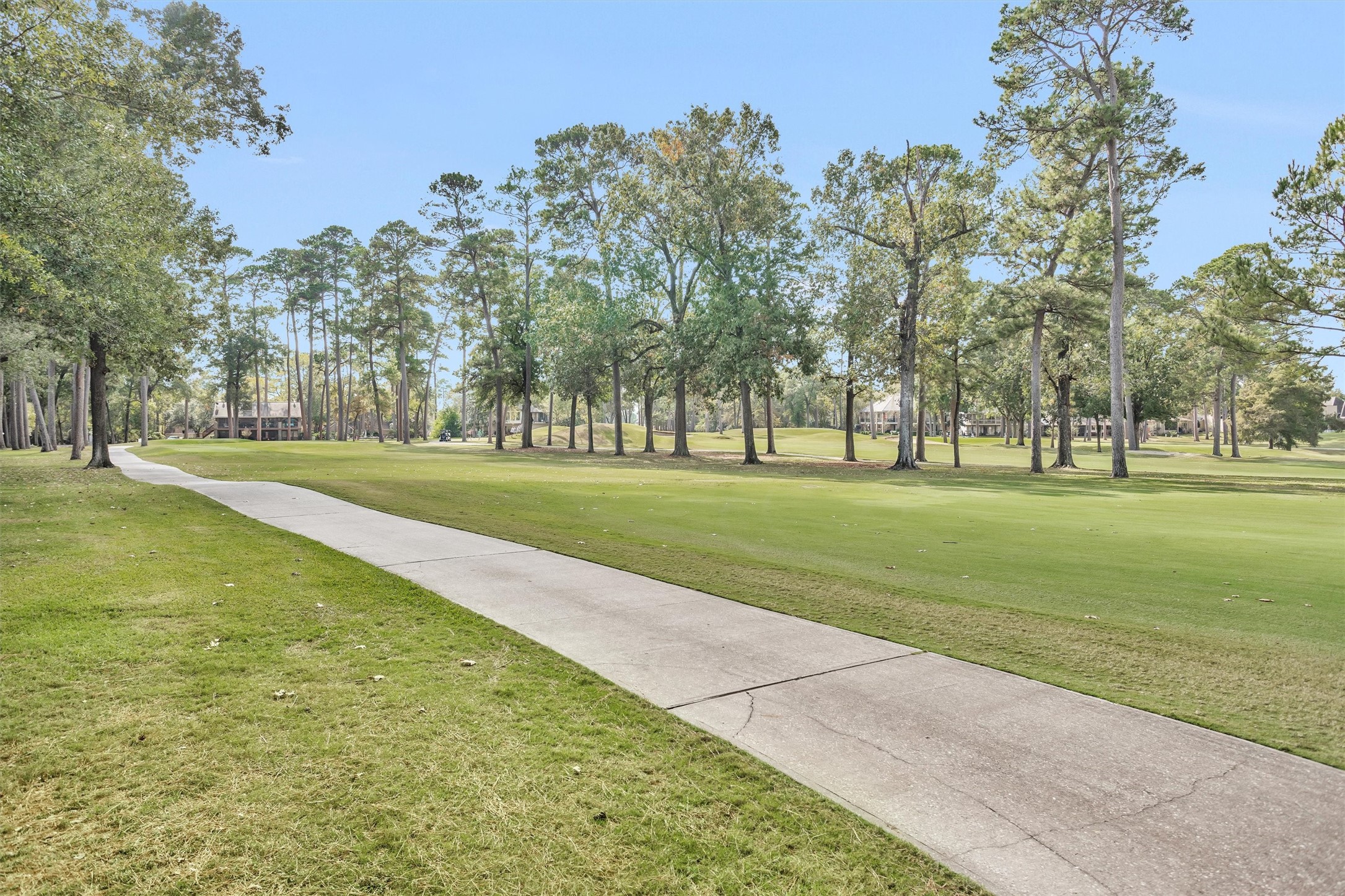 12900 Walden Road, Unit 513 Montgomery, TX 77356 - Photo 11 of 20 a view of a park with tree s