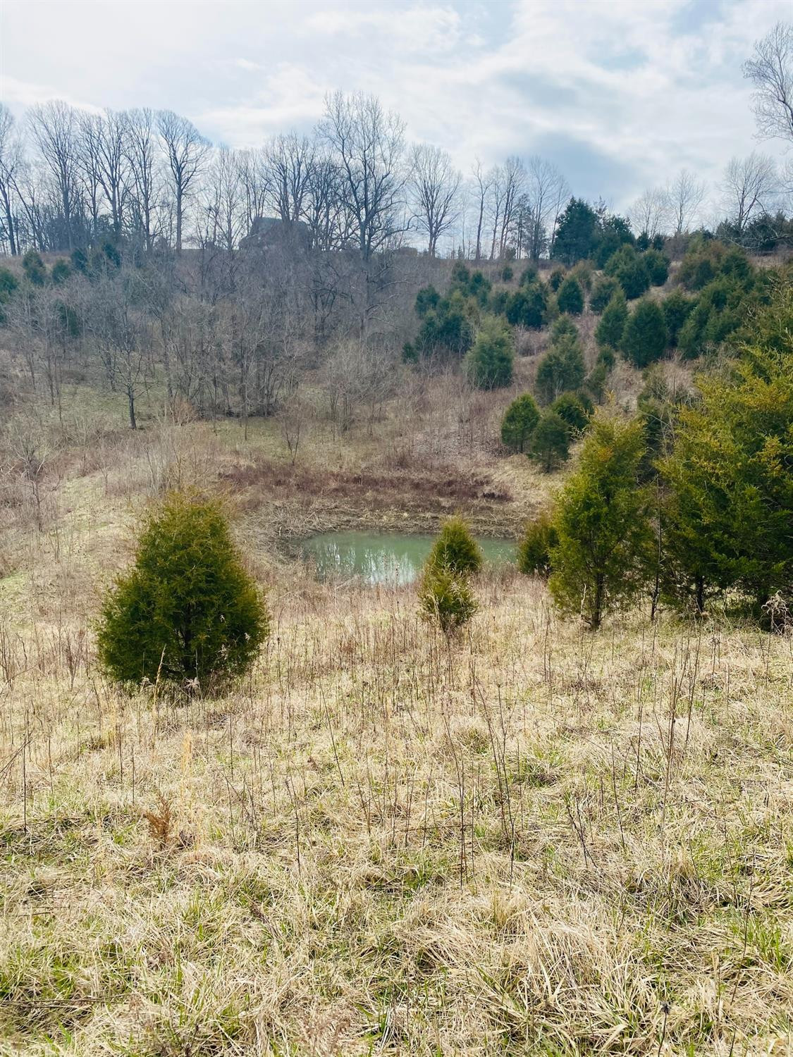 6789 Owenton Road Owenton, KY 40359 - Photo 7 of 14 Photo 7