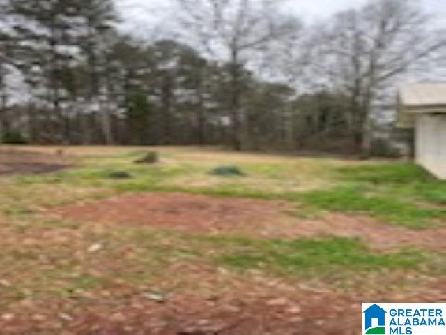 470 Fish Trap Road Cropwell, AL 35054 - Photo 33 of 37