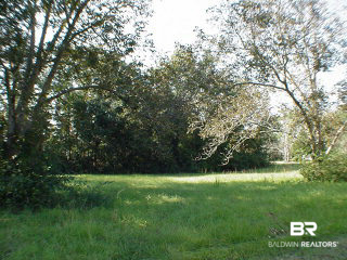 303 Greeno Road Fairhope, AL 36532 - Photo 5 of 9 Back View