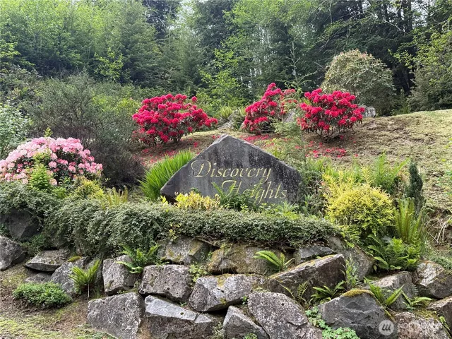 a view of a bunch of flowers and flowers