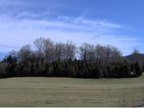 Tba Boyd Road, Unit 6 55 ACR Bluff City, TN 37618 - Photo 2 of 4 Photo 2