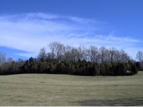 Tba Boyd Road, Unit 6 55 ACR Bluff City, TN 37618 - Photo 3 of 4 Photo 3