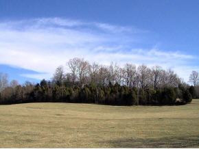 Tba Boyd Road, Unit 6 55 ACR Bluff City, TN 37618 - Photo 4 of 4 Photo 4