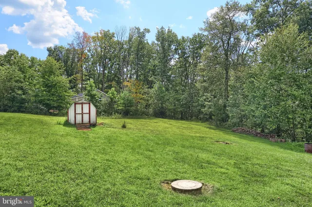 a view of yard with green space