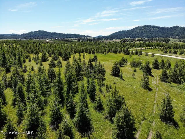 $385,000 | 1 South Harrison Id 83833, Harrison, ID 83833