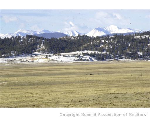1868 Montezuma Road Lake George, CO 80827 - Photo 8 of 12