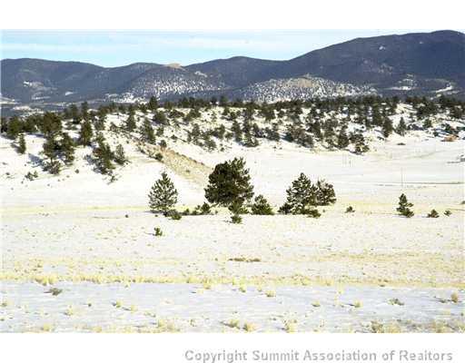 1868 Montezuma Road Lake George, CO 80827 - Photo 10 of 12