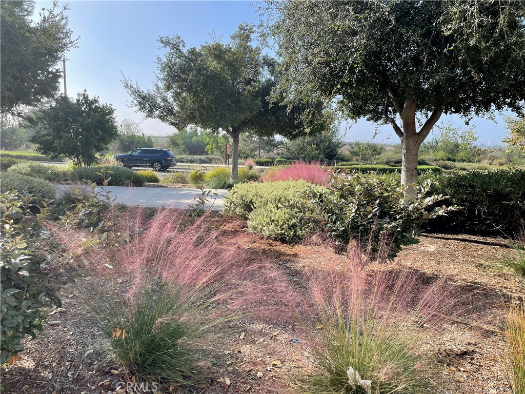 116 Scale Irvine, CA 92618 - Photo 5 of 38