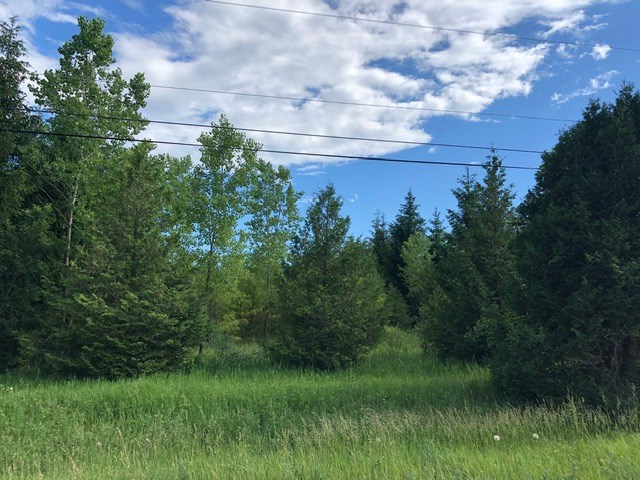 Lot 3 Plum Bottom Road Egg Harbor, WI 54209 - Photo 3 of 4